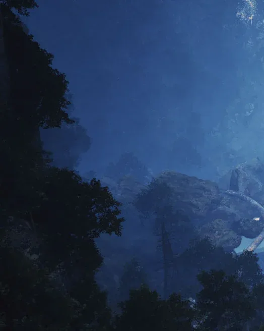 Misty forest cliffs at night